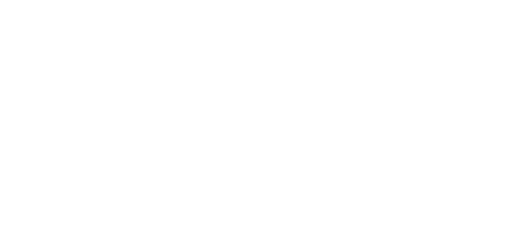 Official Indibet brand artwork