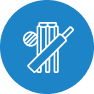 Cricket icon from Indibet