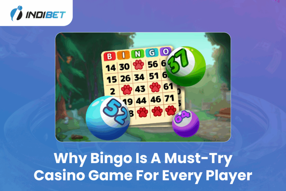 Why Bingo is a Must-Try Casino Game for Every Player Indibet Betting and Casino